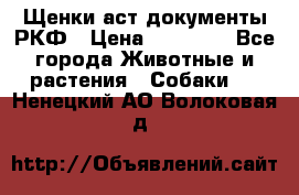 Щенки аст документы РКФ › Цена ­ 15 000 - Все города Животные и растения » Собаки   . Ненецкий АО,Волоковая д.